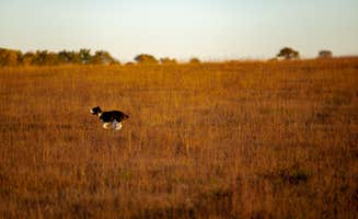 Tom M.'s photo of camping with pets at Hayland Farm's Horse Shoe Campground near Ellinwood, KS