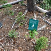 Review photo of Logging Creek Campground — Glacier National Park by Mara F., September 2, 2018