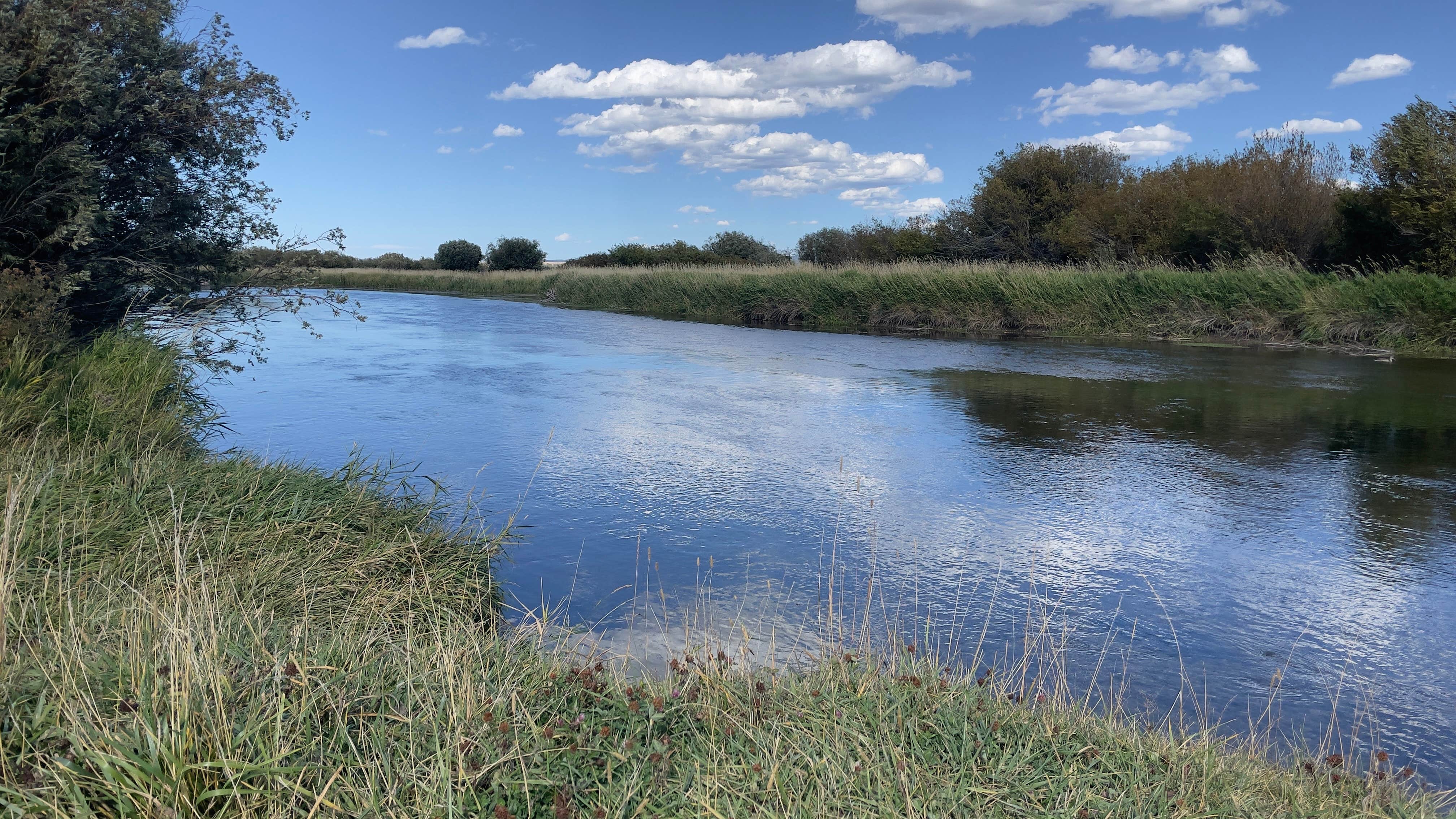 Camper-submitted photo at Big Eddy/Rainey Campground near Tetonia, ID