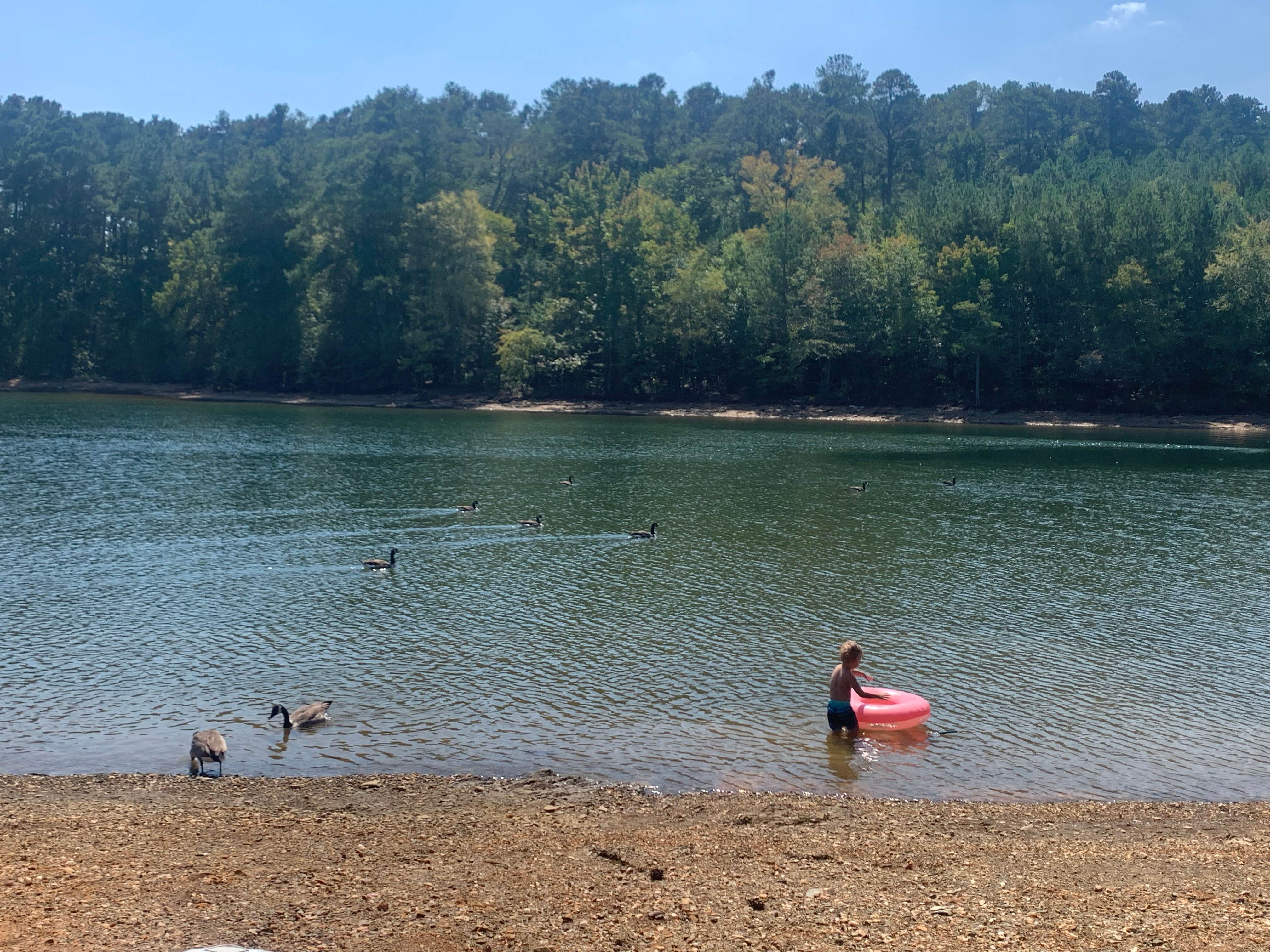 Camper-submitted photo at Marina Resort - Allatoona Landing near Rydal, GA