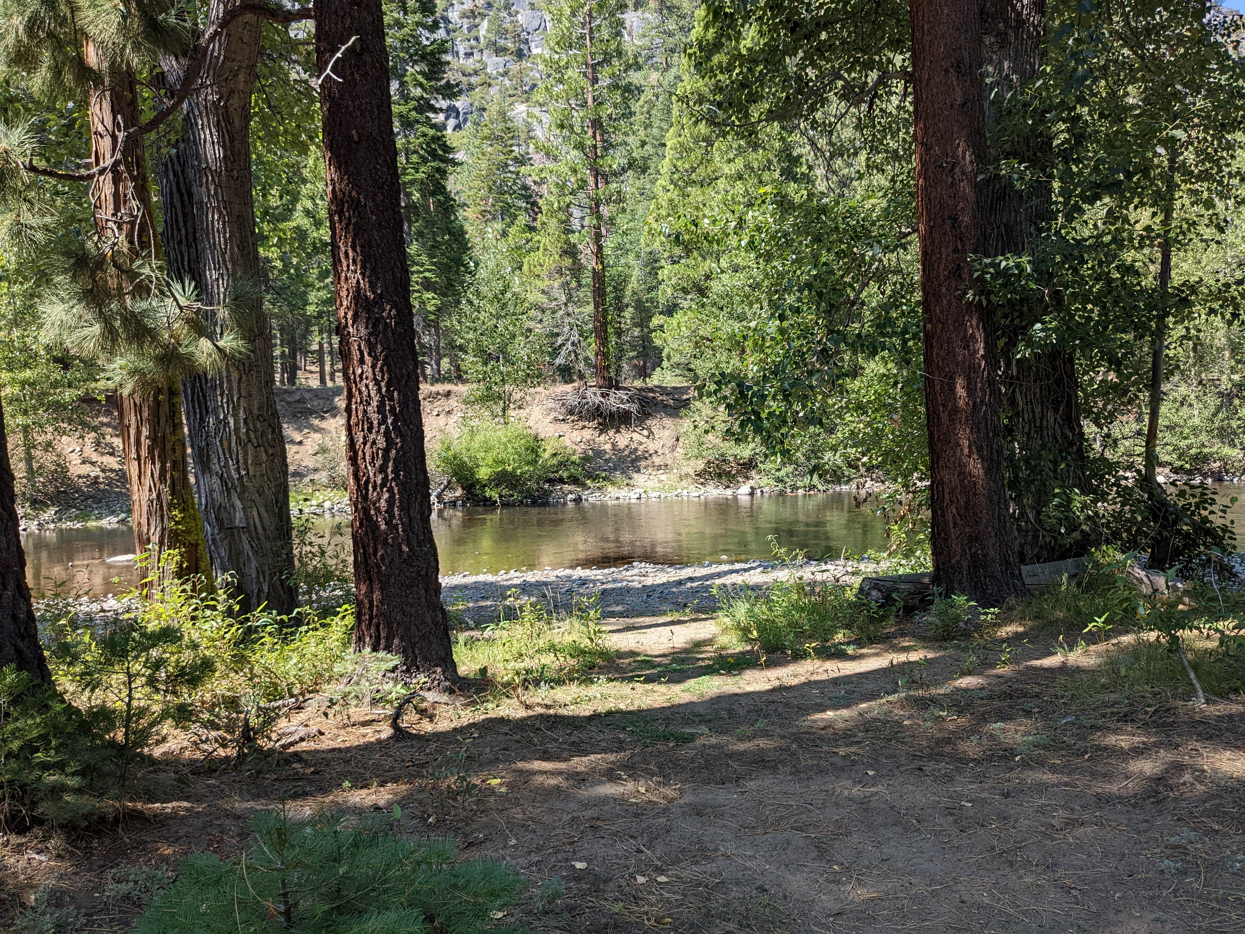 Camping near Fence Creek Campground: Deadman Campground, Bear Valley, California