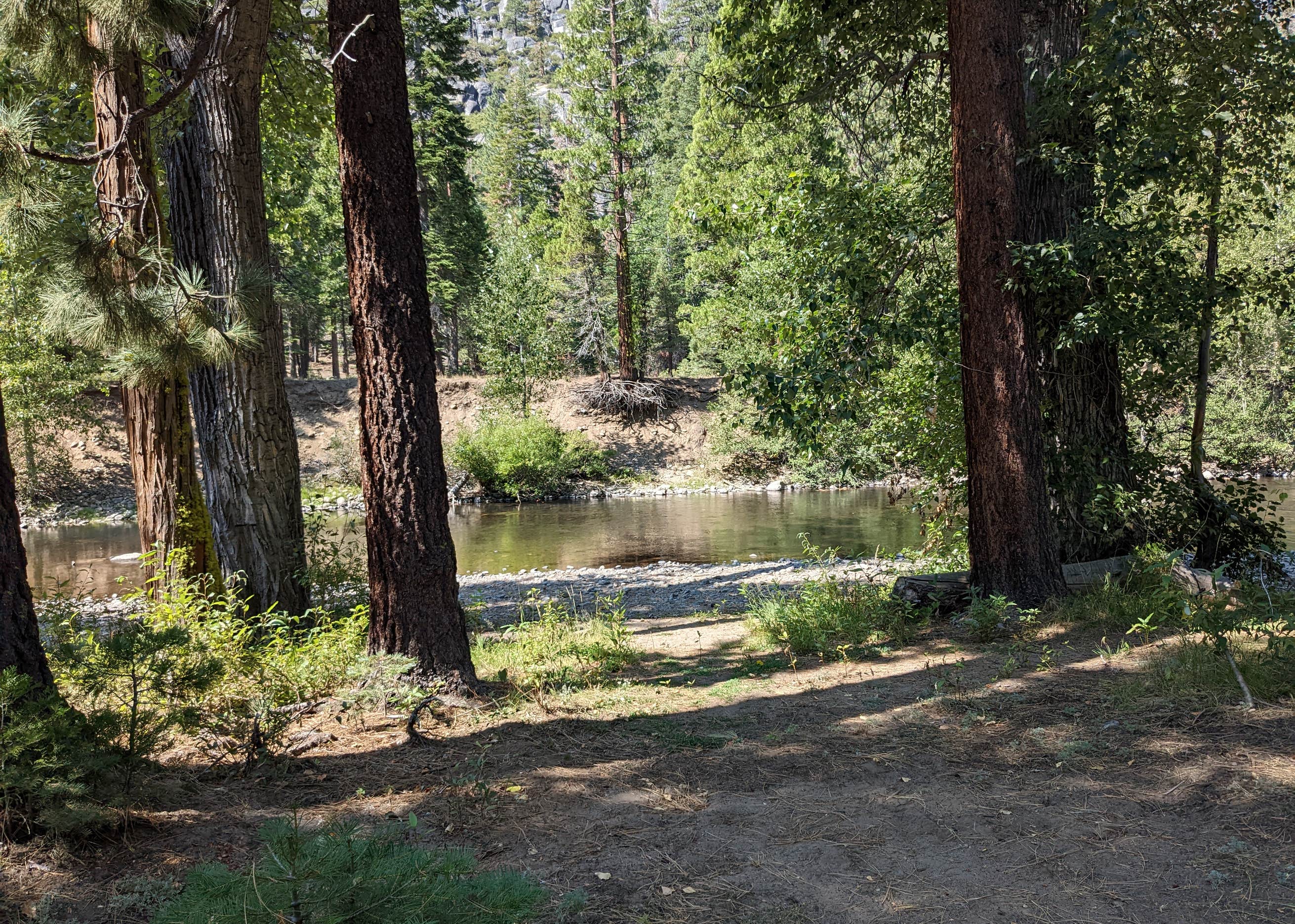 Deadman Campground Camping The Dyrt