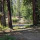 Deadman Campground