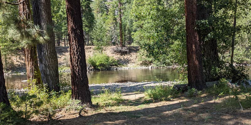 Camper submitted image from Deadman Campground