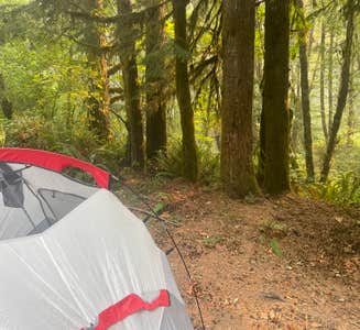 Camper-submitted photo from Alsea Falls Recreation Site (campground)