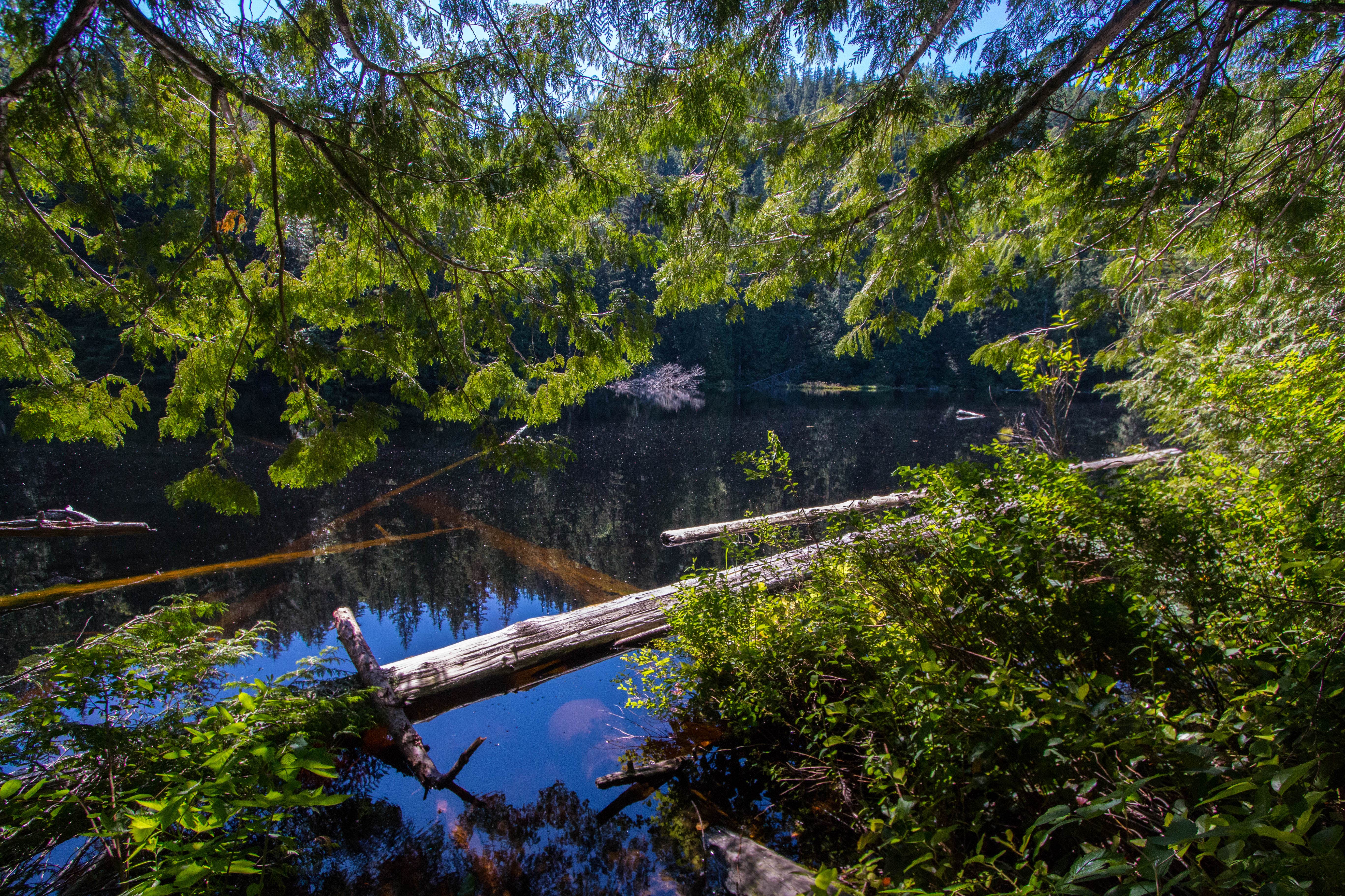 Camper-submitted photo at Pine and Cedar Lakes Primitive Camping near Anacortes, WA