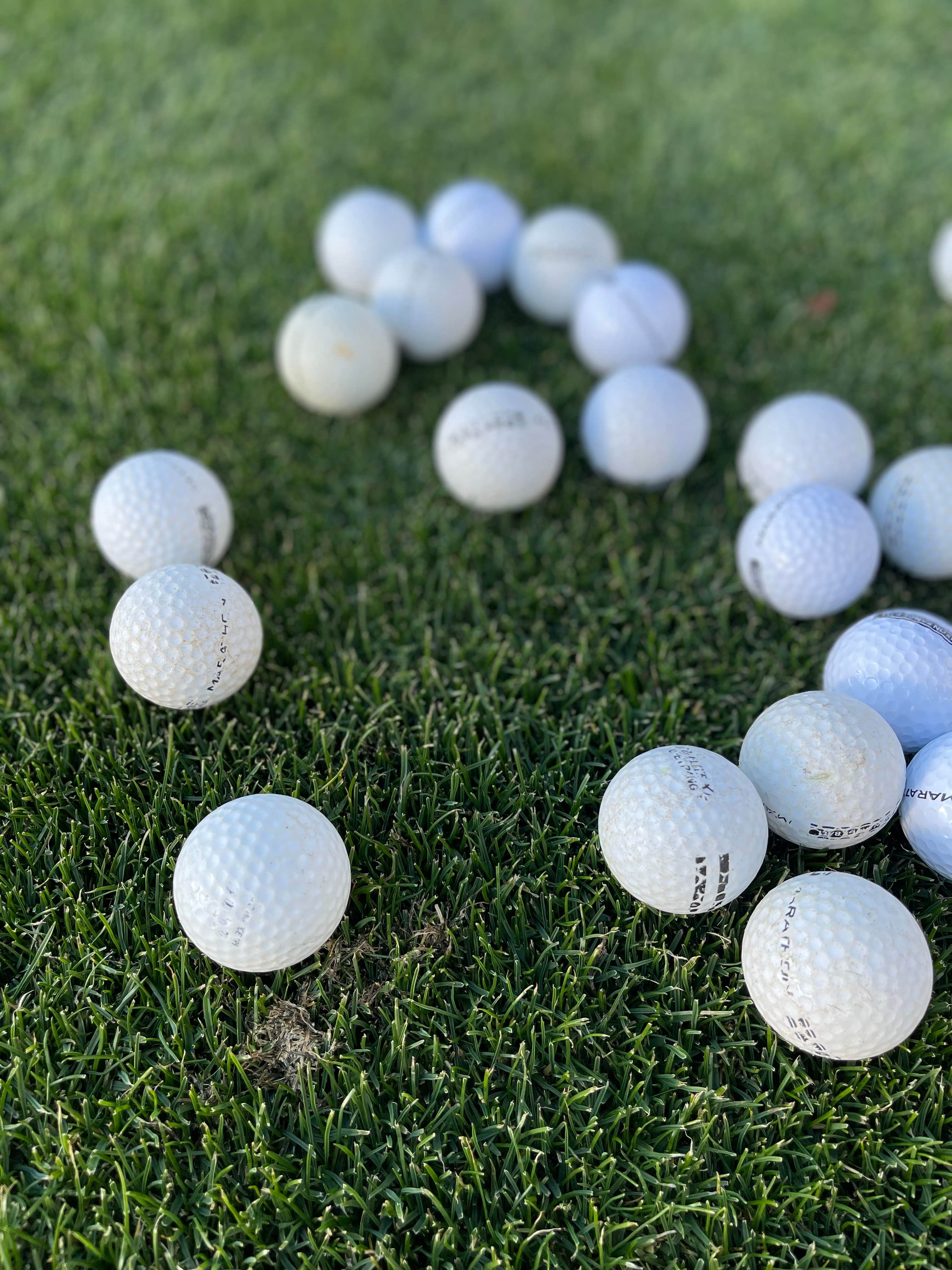 Camper-submitted photo at Riverwoods Golf and RV near Aberdeen, WA