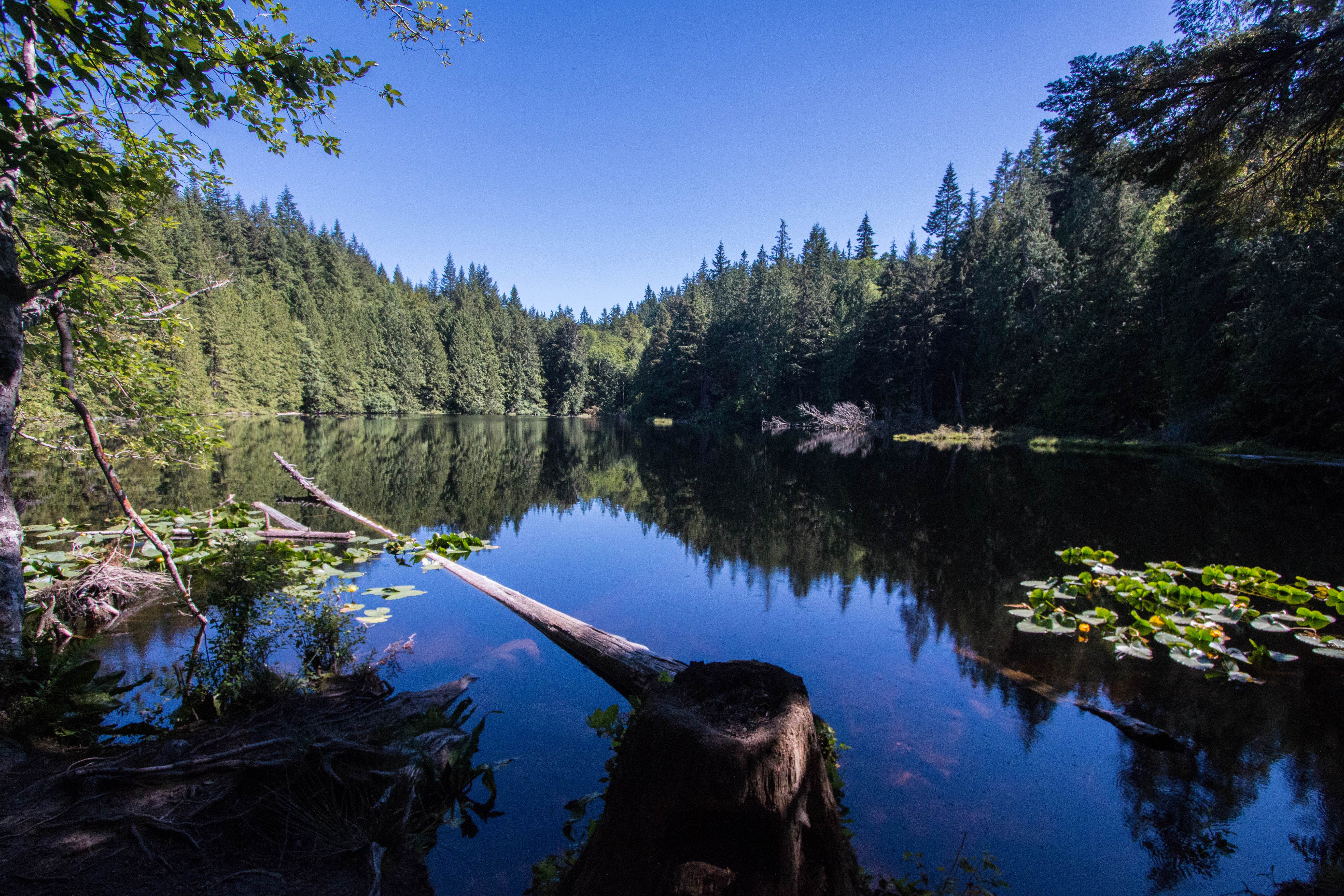 Camper submitted image from Pine and Cedar Lakes Primitive Camping - 4