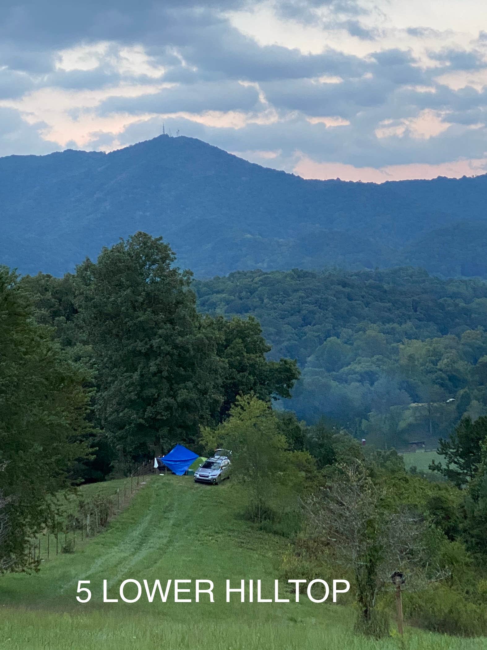 Catherine T.'s photo of tent camping at Smoky Mountain Mangalitsa Farm near Arden, NC