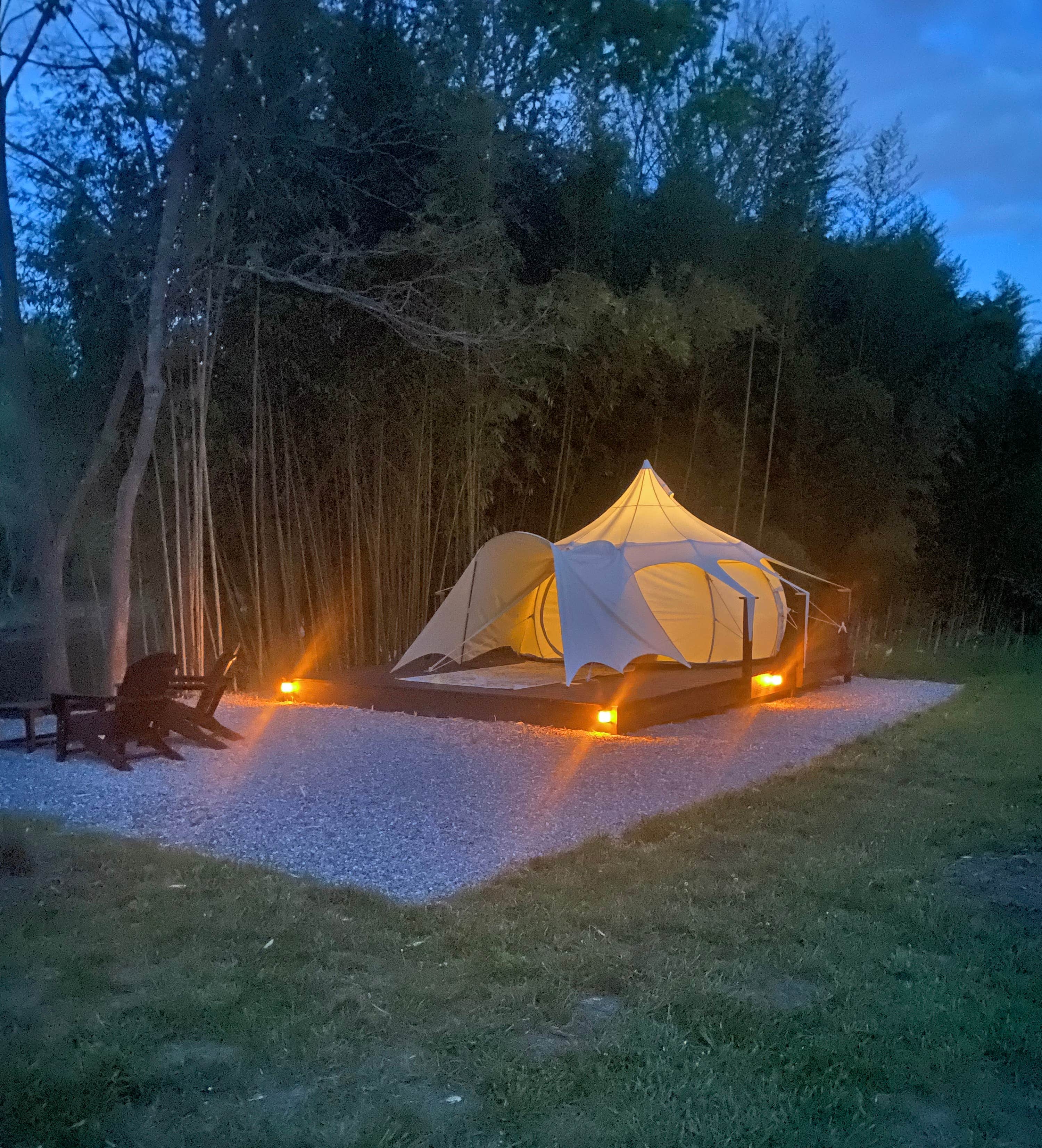 Catherine T.'s photo at Smoky Mountain Mangalitsa Farm near Canton, NC