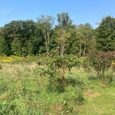 Review photo of Arrowhead Bike Farm by John M., September 20, 2022