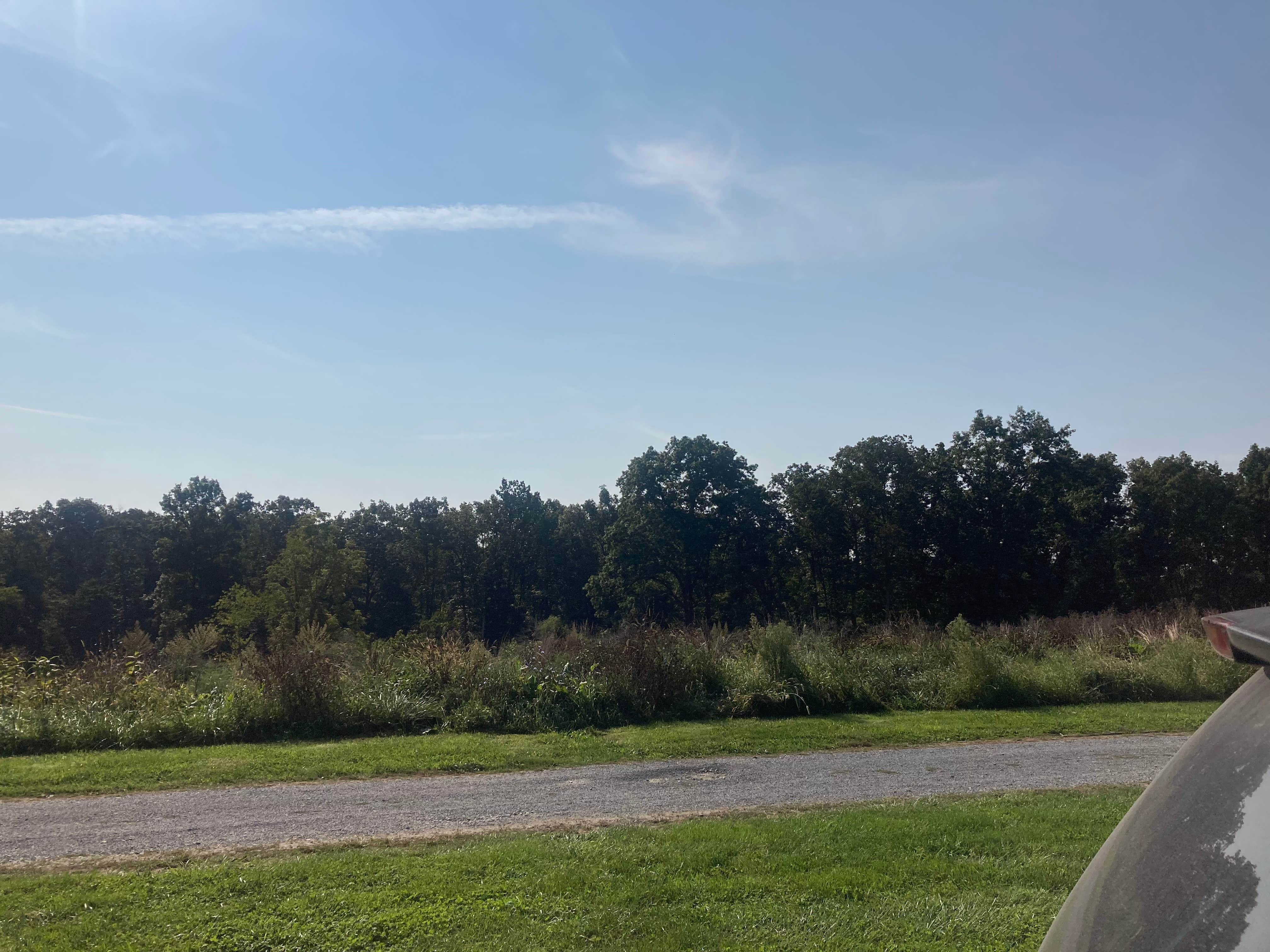 Camper-submitted photo at Arrowhead Bike Farm near Danese, WV