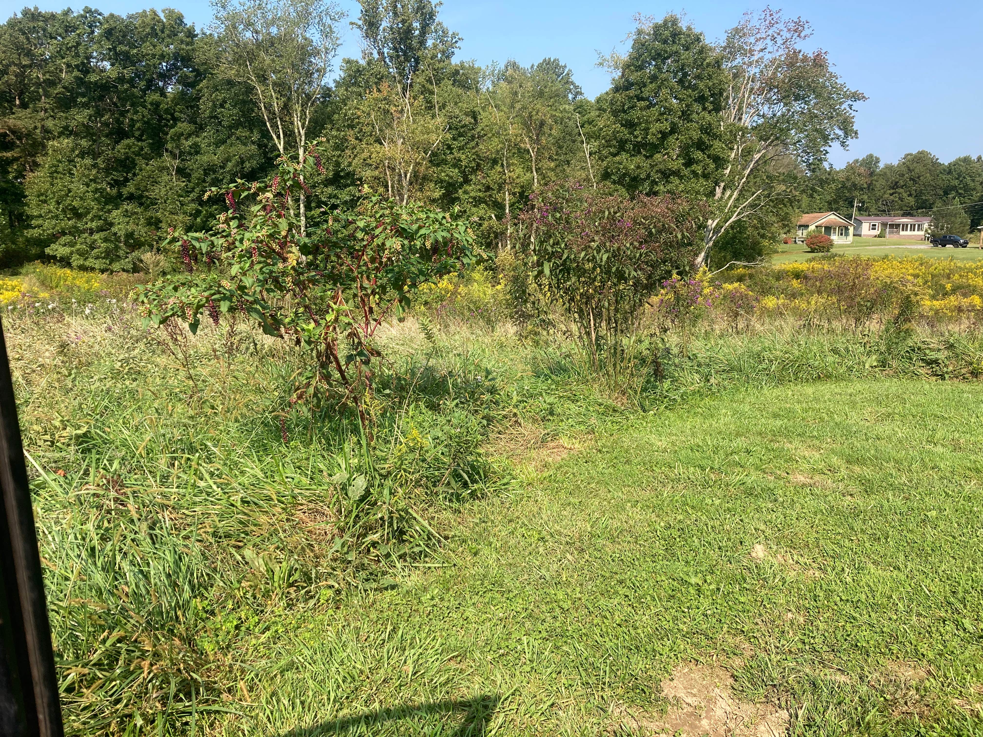 Camper-submitted photo at Arrowhead Bike Farm near Danese, WV