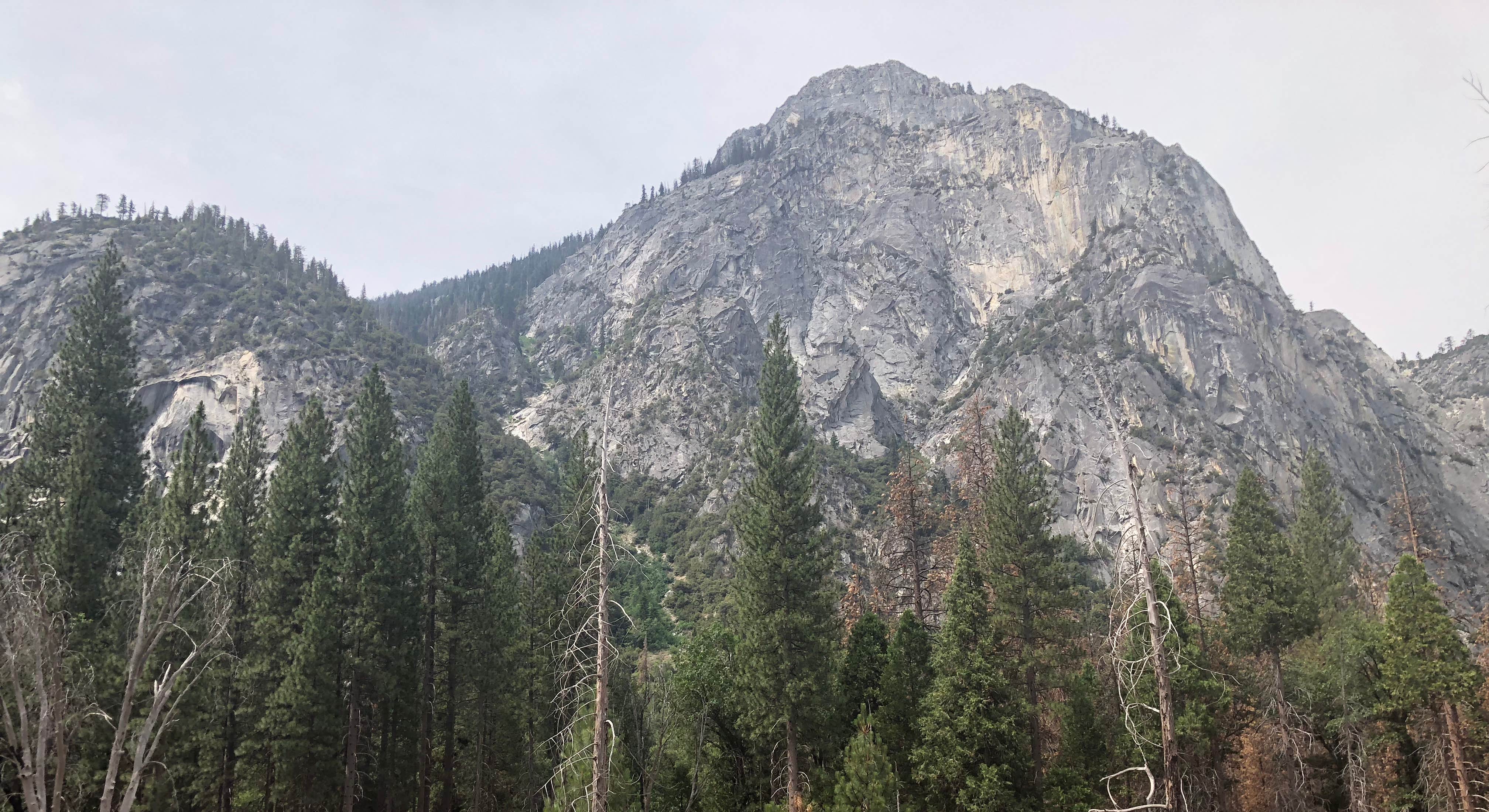 Sentinel Campground Area Landscape View in Kings Canyon National Park