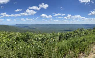 Melissa R.'s photo of a dispersed camping area at Talimena Scenic Drive near Vandervoort, AR