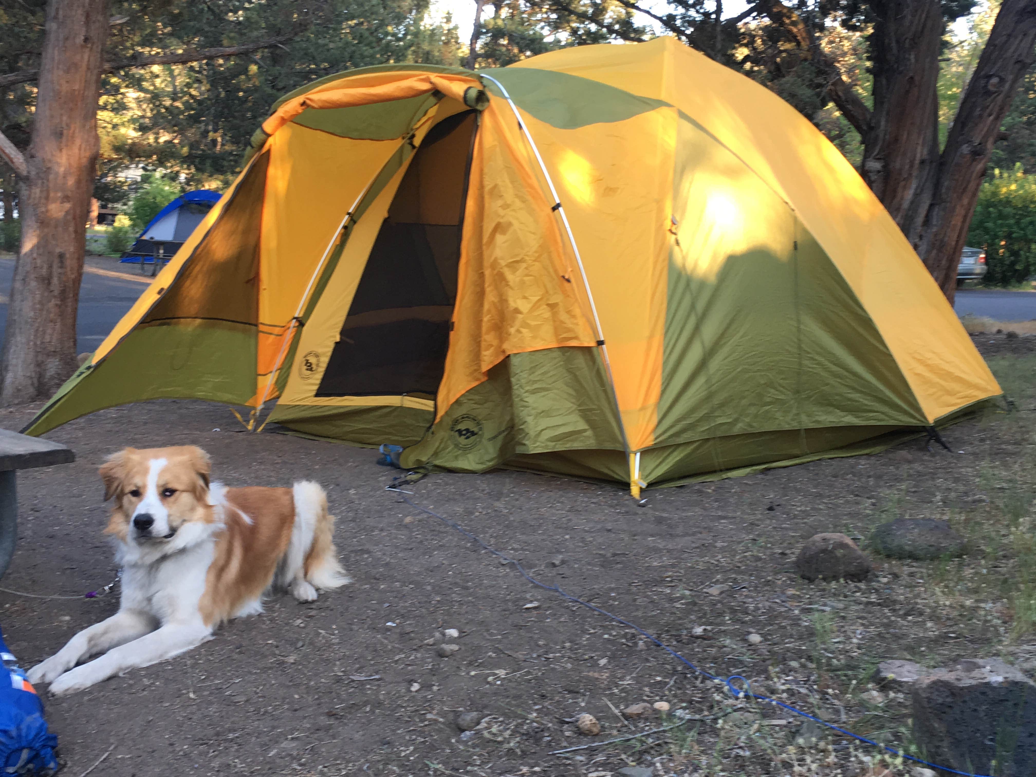 Brandi B.'s photo at Tumalo State Park Campground near Deschutes & Ochoco National Forests & Crooked River National Grassland