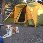 Review photo of Tumalo State Park Campground by Brandi B., September 2, 2018