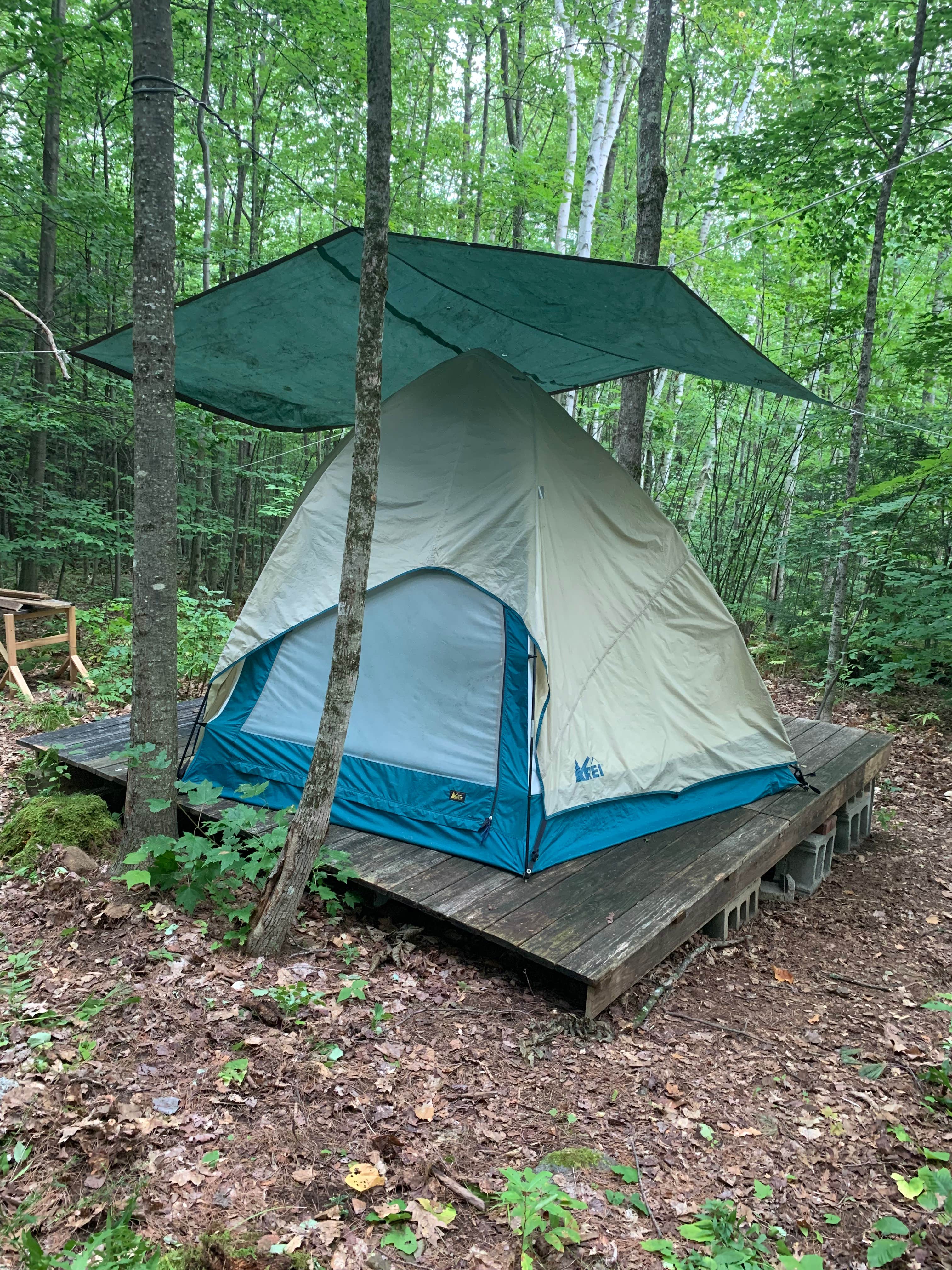 Kris F.'s photo at Blue Heron near Keene, NH