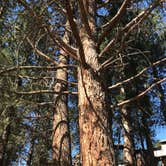 Review photo of Tumalo State Park Campground by Brandi B., September 2, 2018