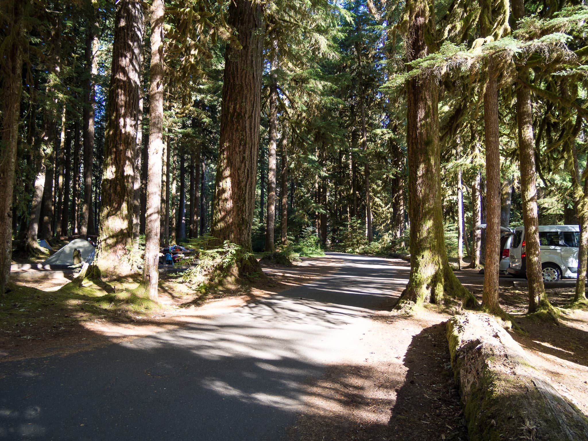 Camper submitted image from Sol Duc Hot Springs Resort Campground — Olympic National Park - 5