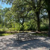 Review photo of Dam East - Mcnair Campground by Keri B., September 20, 2022