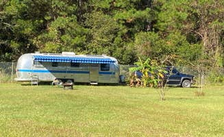 Ashley F.'s photo at MONKEY STOP - CLOSED near Archer, FL