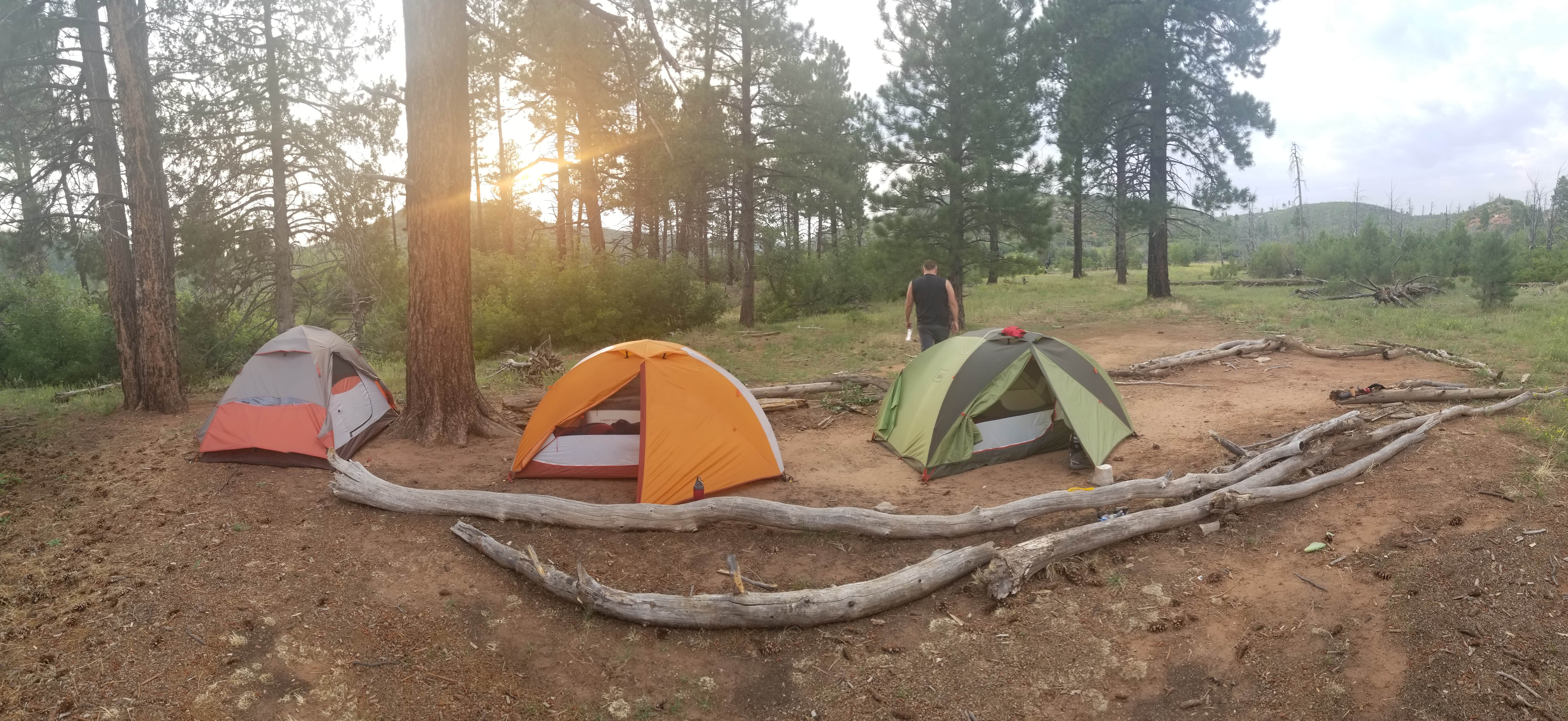 Stephanie L.'s photo at Zion Canyon Campground near Rockville, UT