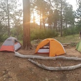 Review photo of Zion Canyon Campground by Stephanie L., September 2, 2018