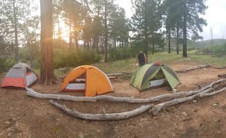 Stephanie L.'s photo at Zion Canyon Campground near Rockville, UT