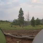 Review photo of Zion Canyon Campground by Stephanie L., September 2, 2018