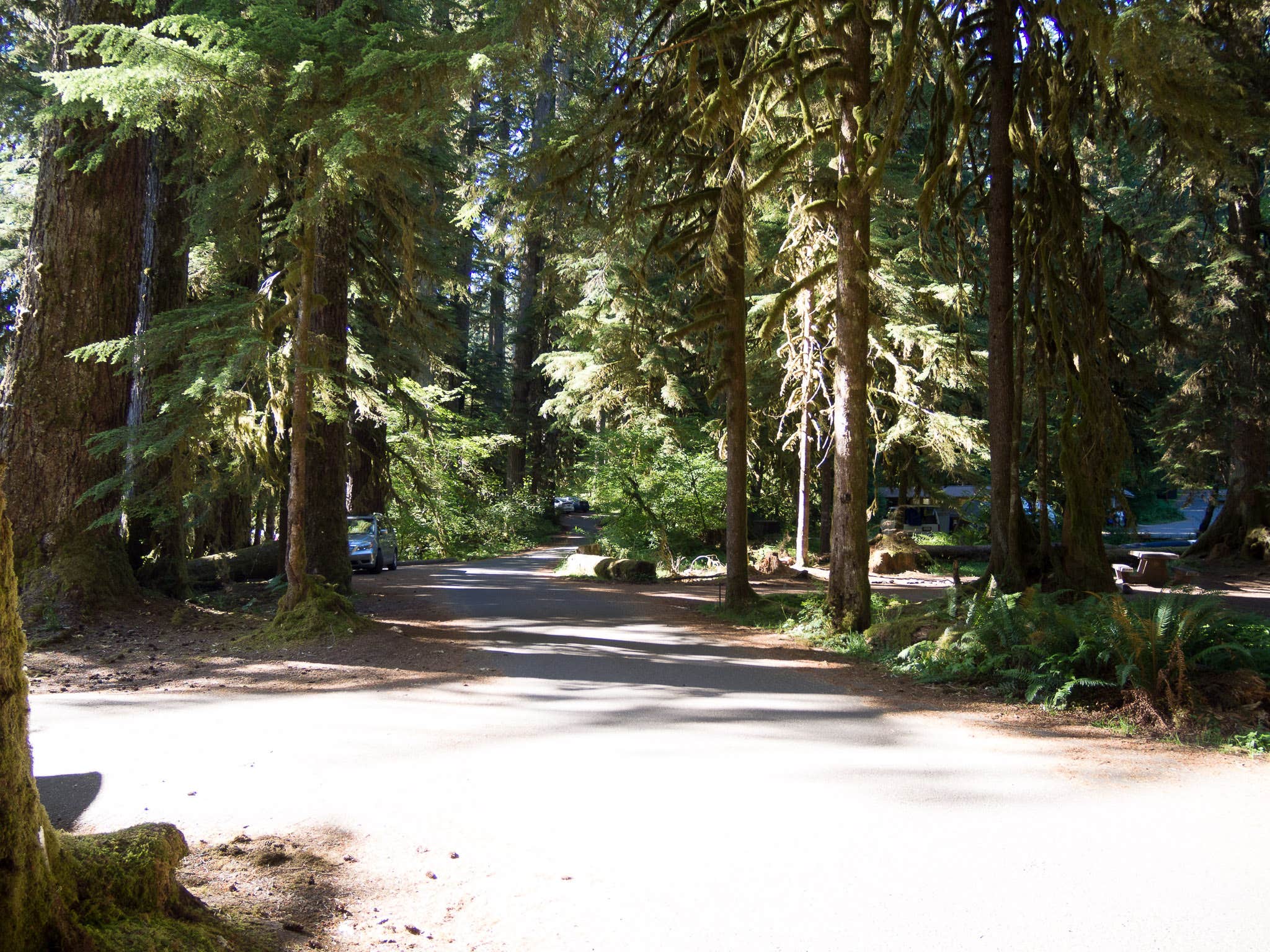 Camper submitted image from Sol Duc Hot Springs Resort Campground — Olympic National Park - 4