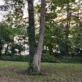 Review photo of Lake Chicot State Park Campground by Ron P., September 21, 2022
