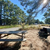 Review photo of Cape Henlopen State Park Campground by Karen , September 21, 2022