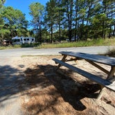 Review photo of Cape Henlopen State Park Campground by Karen , September 21, 2022