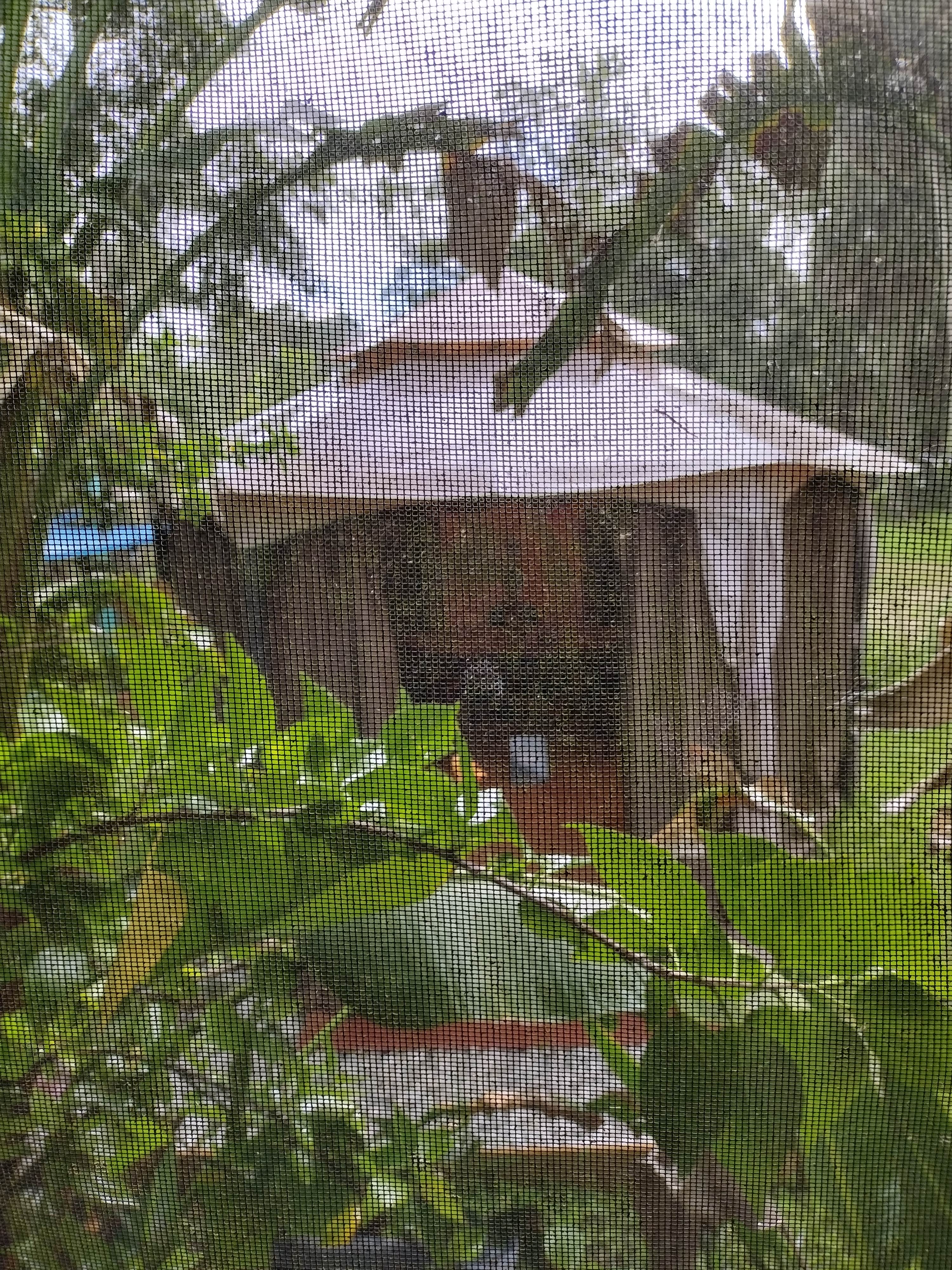 Camper-submitted photo at Runaway Bay Lodge near Welaka, FL