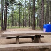 Review photo of Pinegrove Campground by Brad B., September 21, 2022