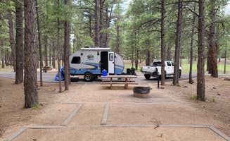 Brad B.'s photo at Pinegrove Campground near Mormon Lake, AZ