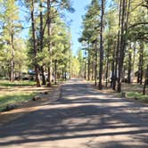 Review photo of Pinegrove Campground by Brad B., September 21, 2022