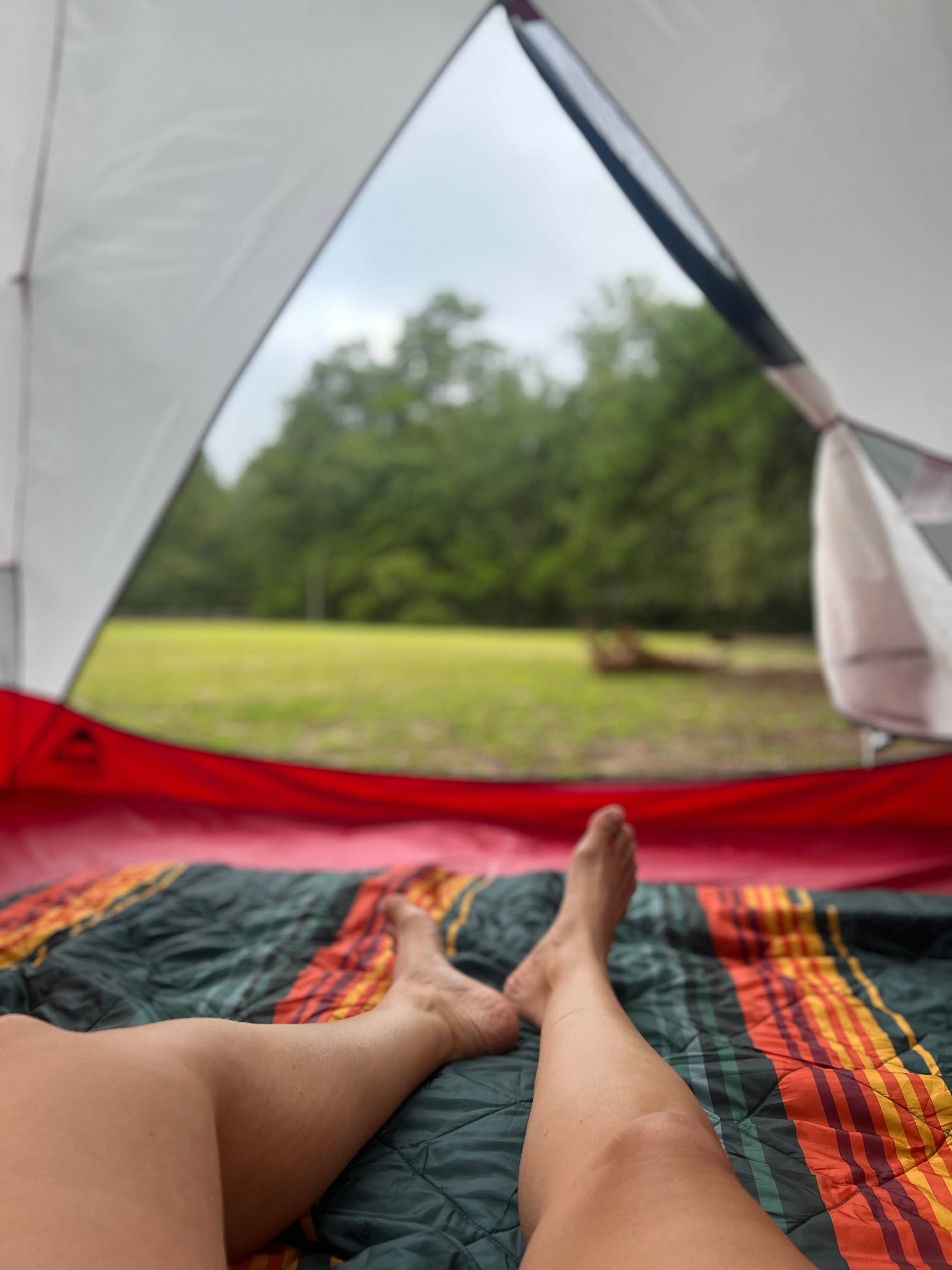 Lorena M.'s photo at Poinsett State Park Campground near Timmonsville, SC