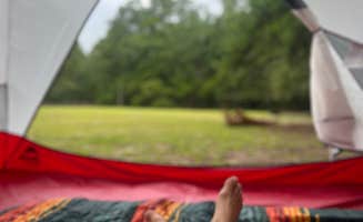 Lorena M.'s photo at Poinsett State Park Campground near Sumter, SC