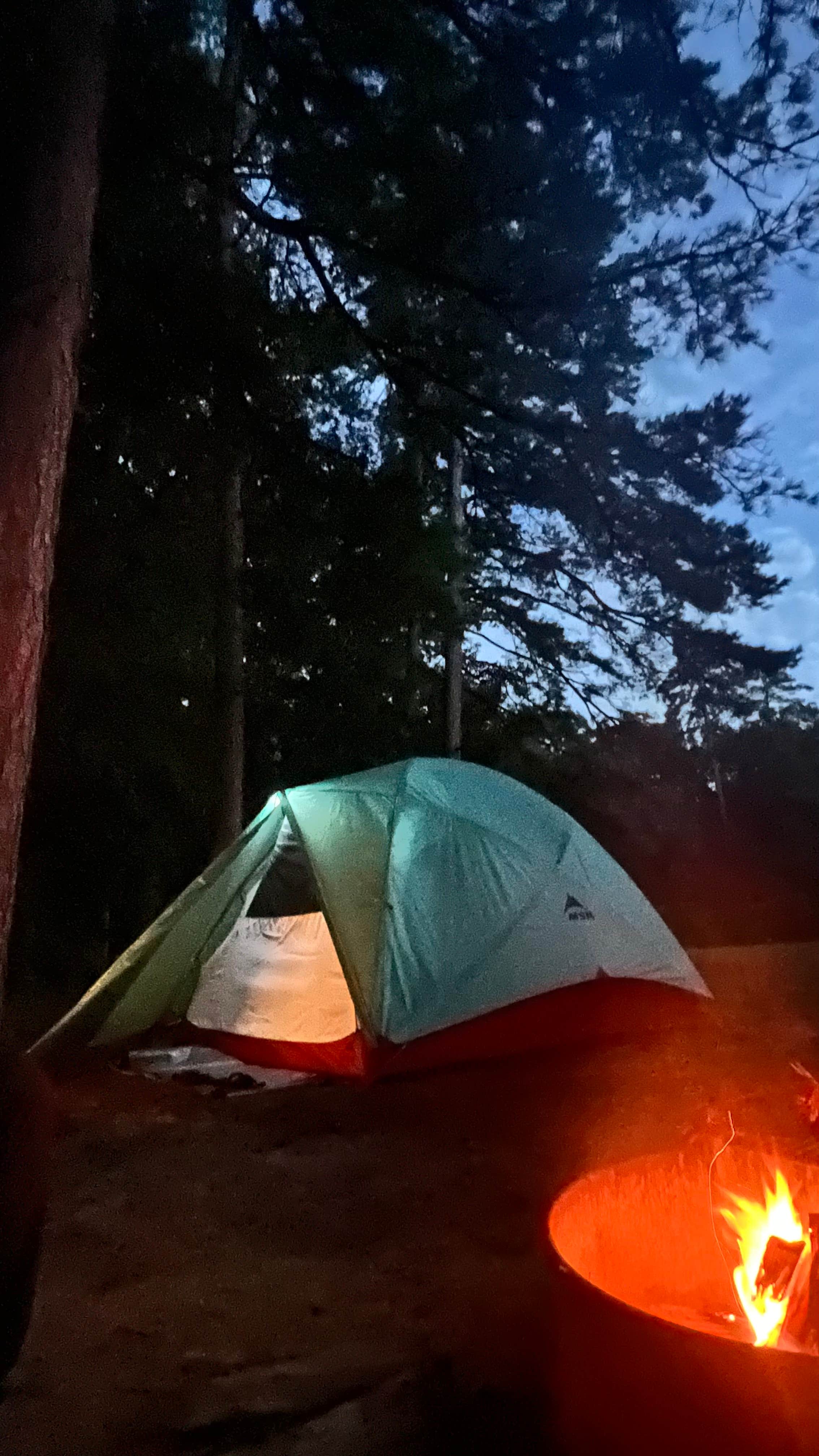 Lorena M.'s photo at Poinsett State Park Campground near Summerton, SC