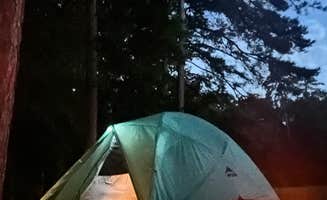 Lorena M.'s photo at Poinsett State Park Campground near Summerton, SC