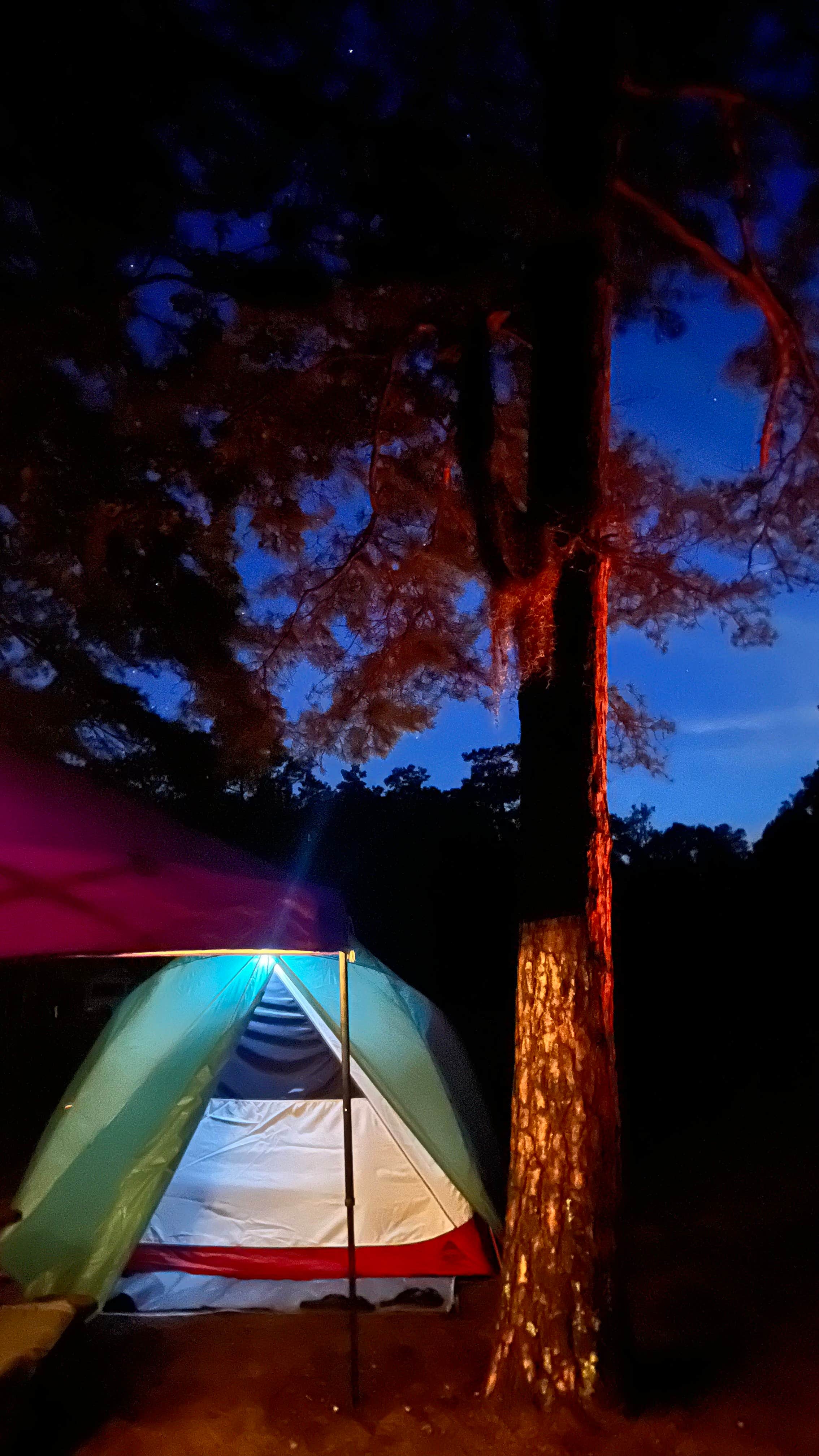 Lorena M.'s photo at Poinsett State Park Campground near Columbia, SC