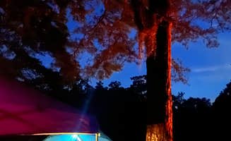 Lorena M.'s photo at Poinsett State Park Campground near Columbia, SC