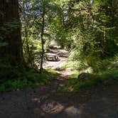 Review photo of Sol Duc Hot Springs Resort Campground — Olympic National Park by Graham C., August 4, 2016