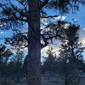 Review photo of Dispersed Camping - Mormon Well Road/Desert Pass by Drew C., September 21, 2022