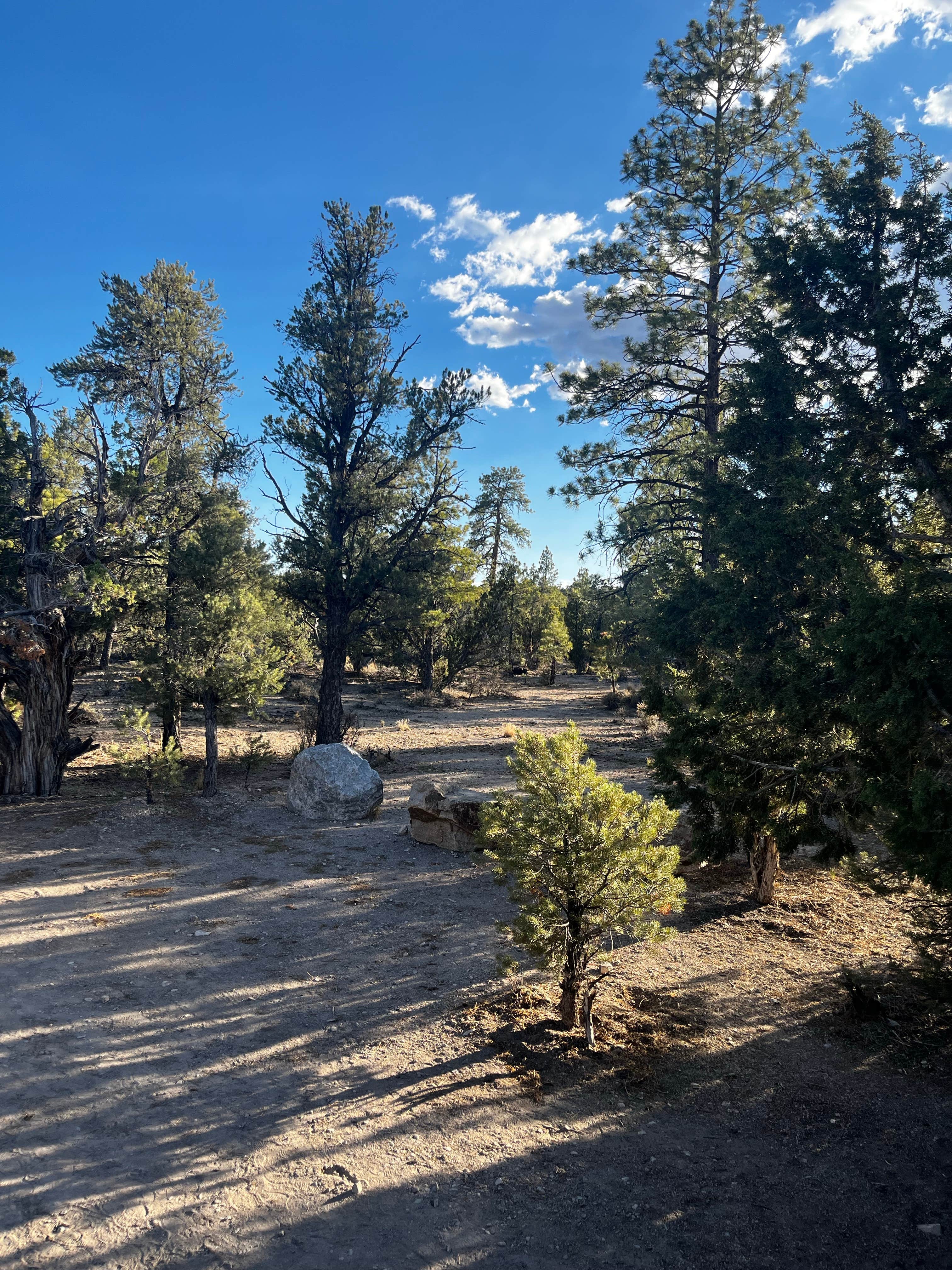 Camper-submitted photo at Dispersed Camping - Mormon Well Road/Desert Pass near Alamo, NV
