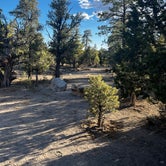 Review photo of  Dispersed Camping - Mormon Well Road/Desert Pass  by Drew C., September 21, 2022