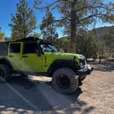 Review photo of Dispersed Camping - Mormon Well Road/Desert Pass by Drew C., September 21, 2022