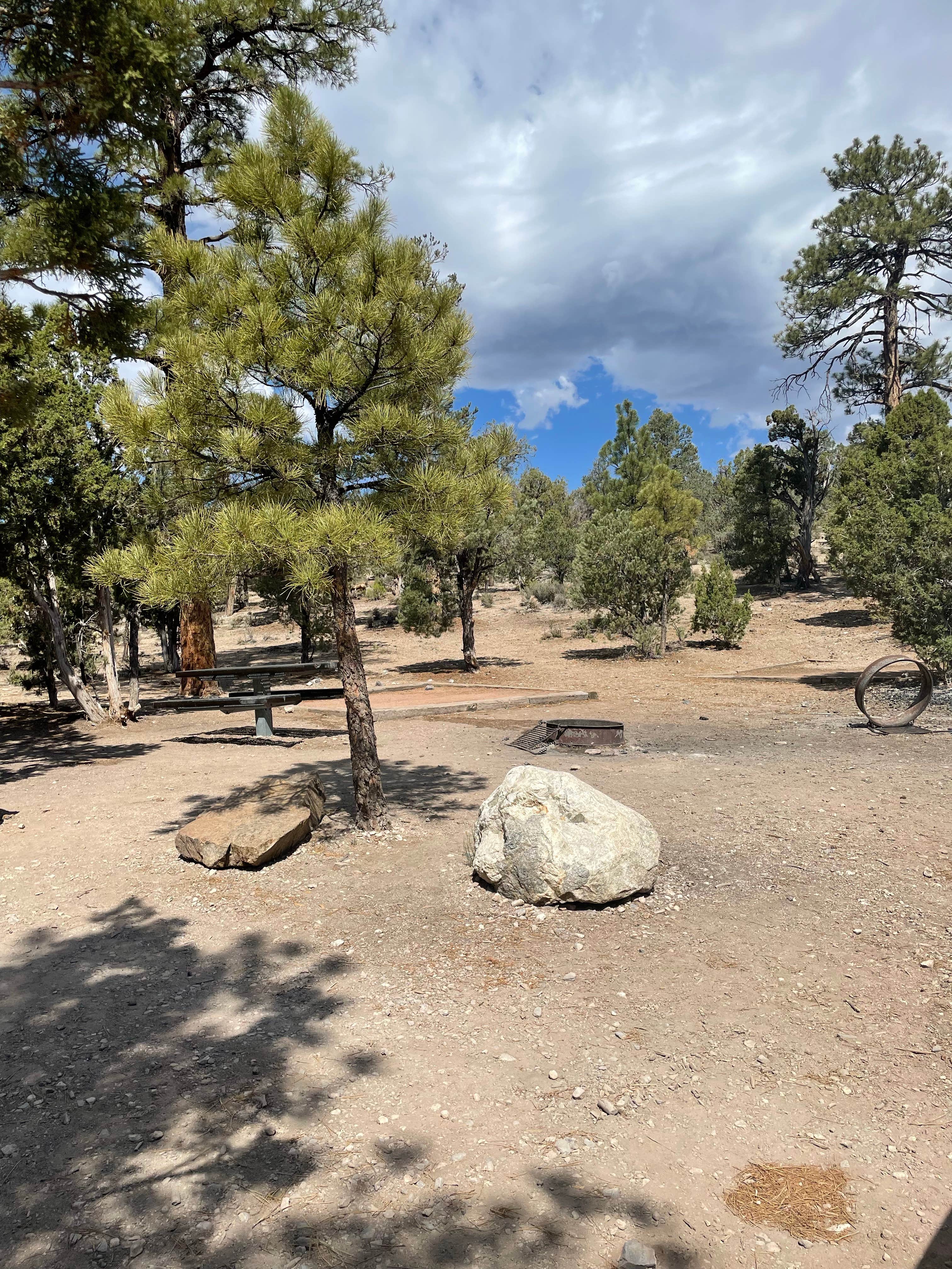 Camper-submitted photo at Dispersed Camping - Mormon Well Road/Desert Pass near Alamo, NV